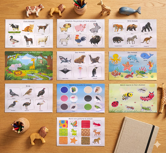 🧠 Combo 1: Starter Learning Combo (Ages 1–5)